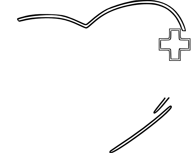 Filigrane AMS 06